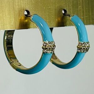 🆕 Heidi Daus Crystal & Enamel Hoop Earrings in Baby Blue color